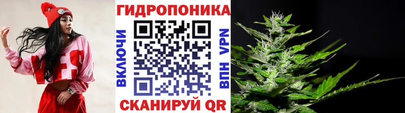 Каннабис Bruce Banner  Горячеводский 